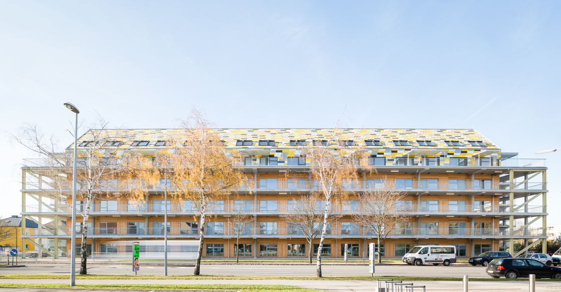 Ein Foto von Lukas Schaller