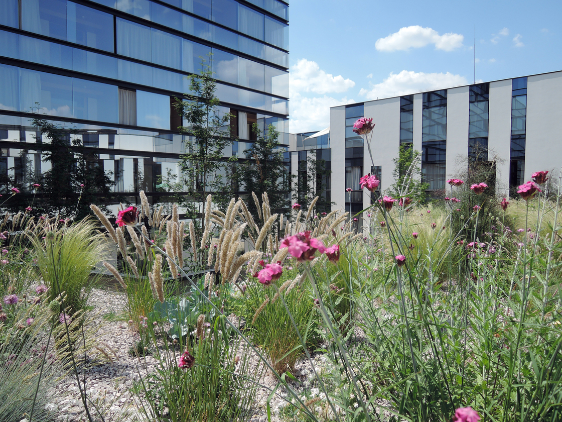 Ein Foto von rajek barosch landschaftsarchitektur