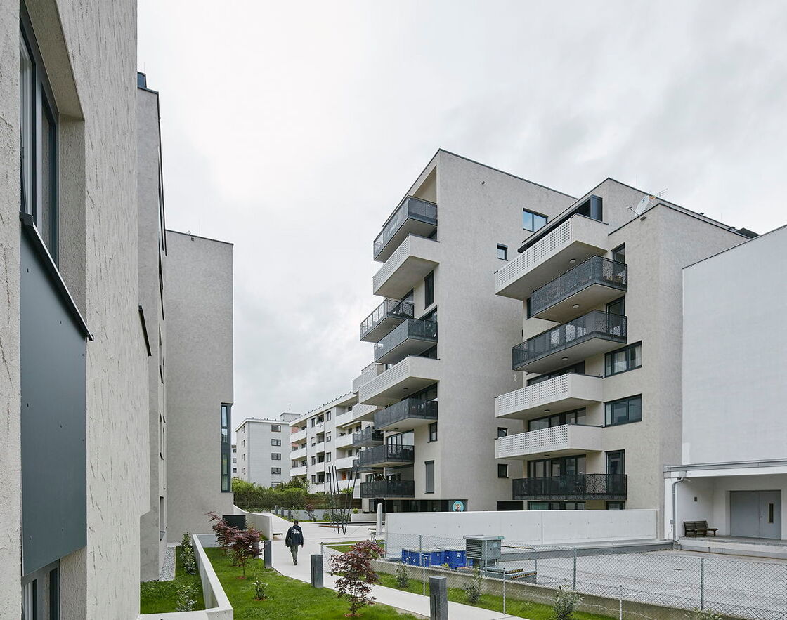 Ein Foto von David Schreyer