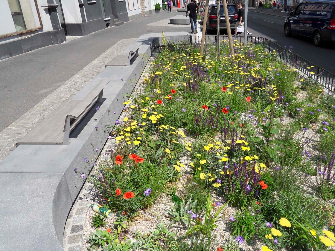 Ein Foto von Catherine Ludwig