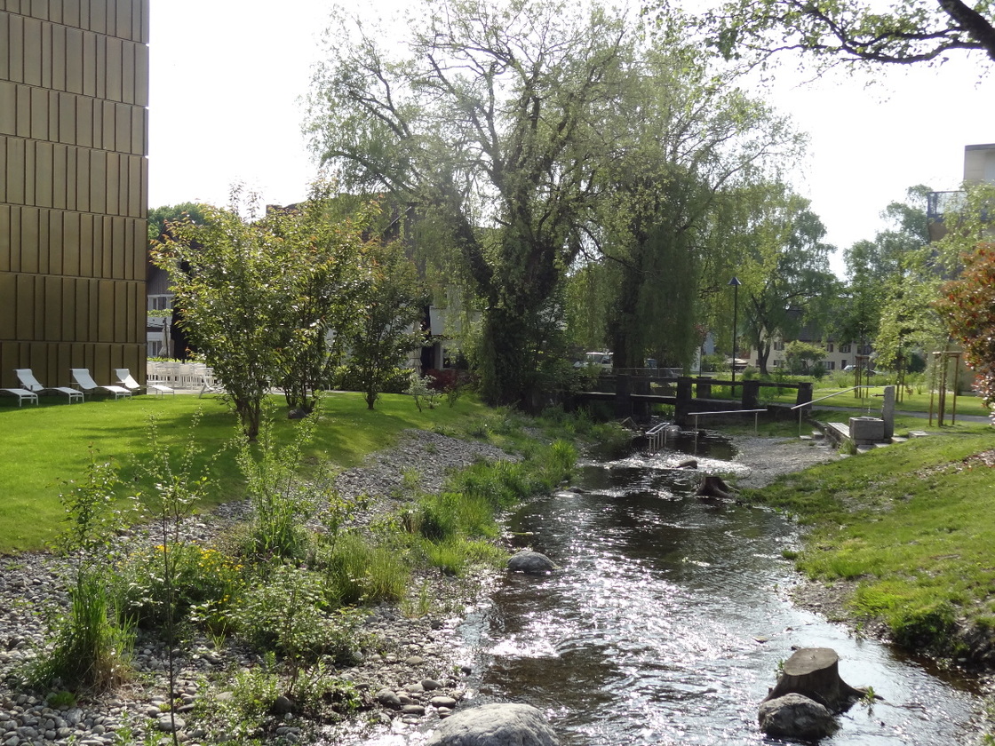 Ein Foto von Maria Anna Schneider-Moosbrugger