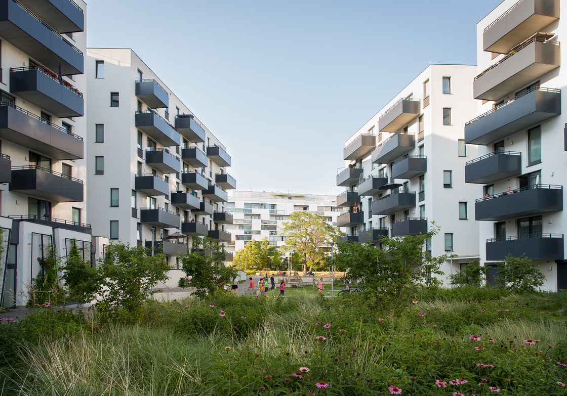 Ein Foto von Johannes Hloch