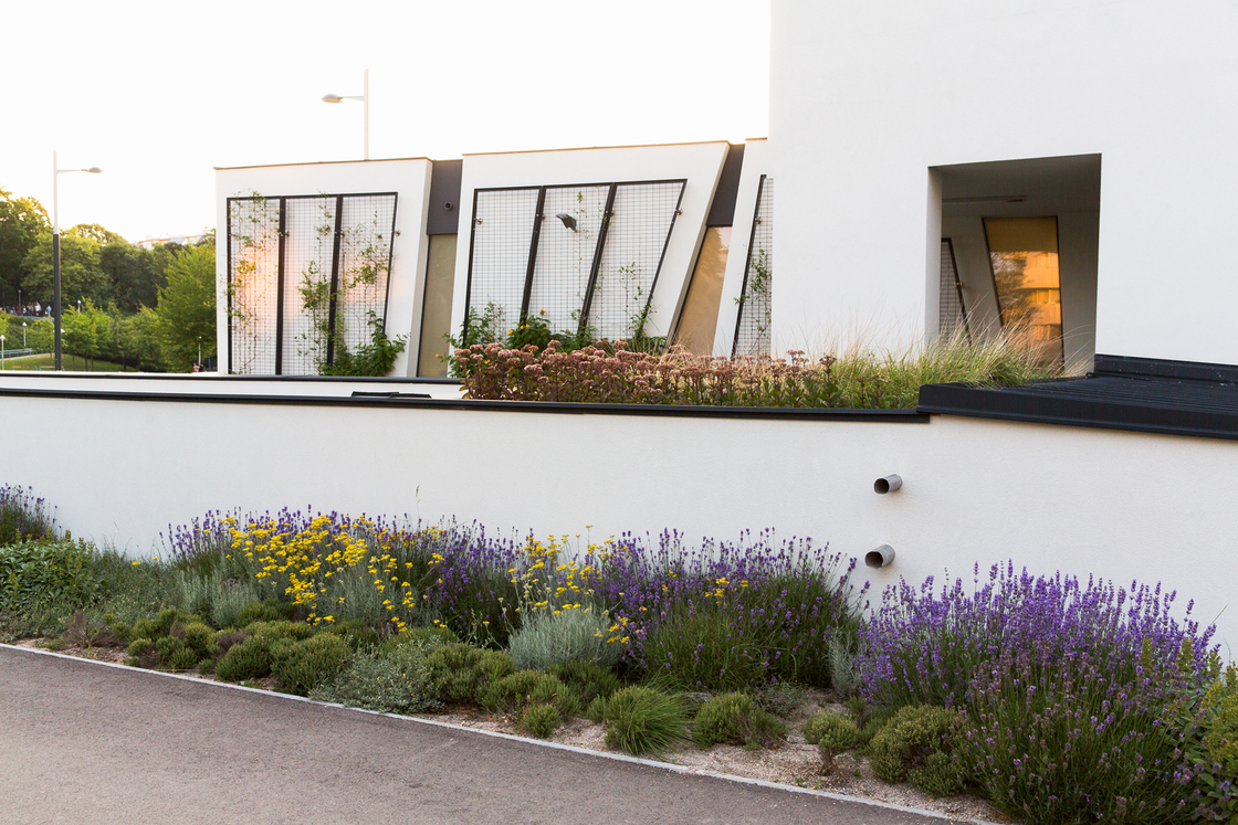 Ein Foto von Johannes Hloch