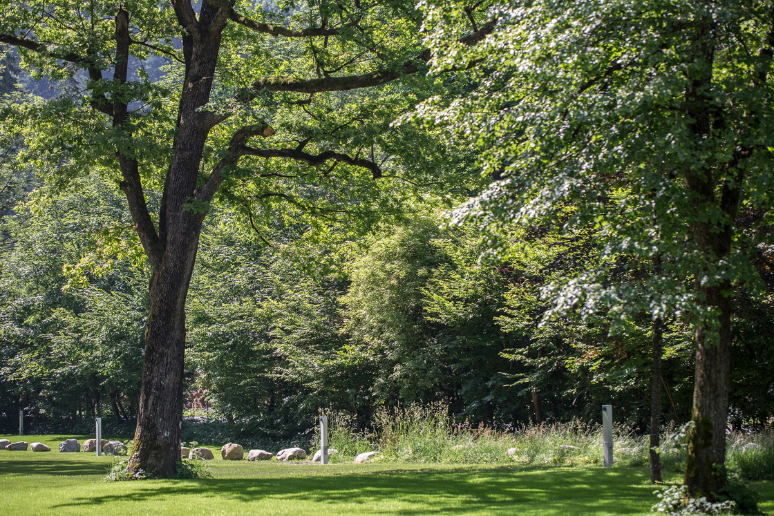 Ein Foto von Petra Rainer