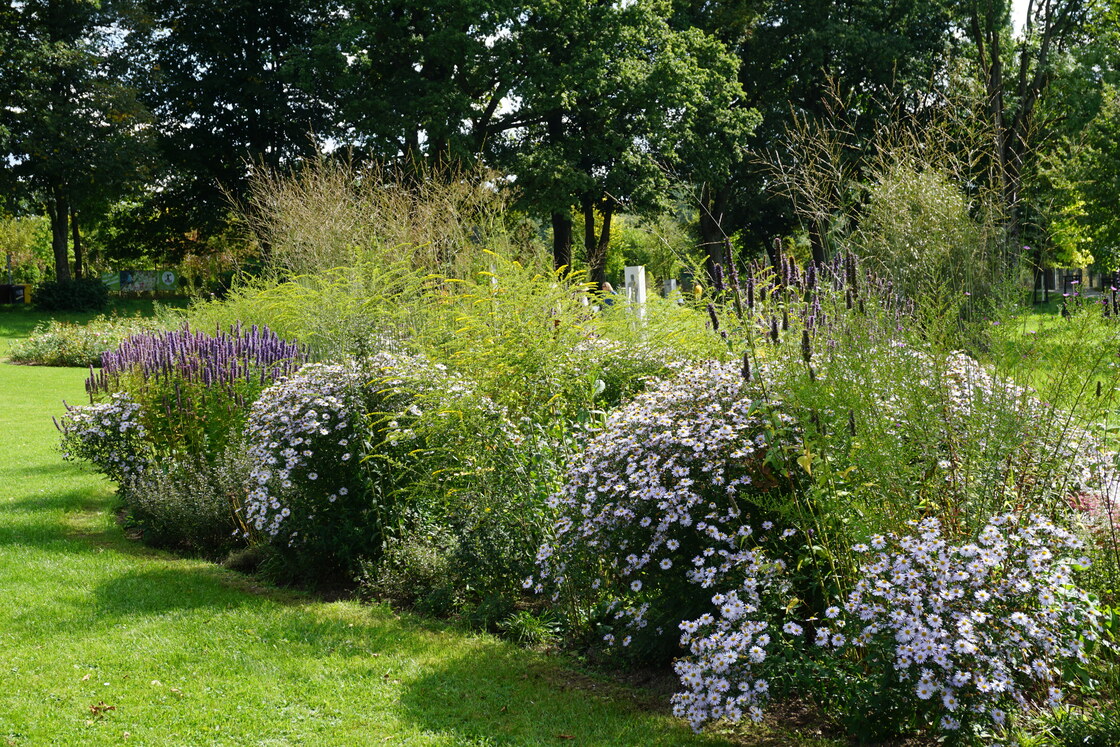 Ein Foto von Sabine Plenk