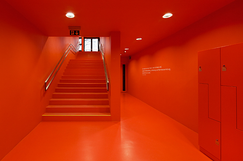 Ein Foto von Rupert Steiner