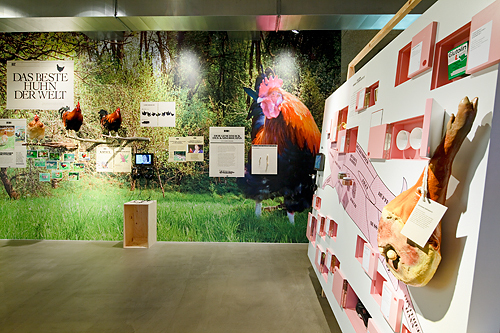 Ein Foto von Rupert Steiner