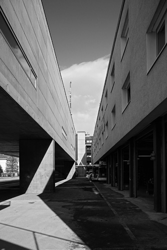 Ein Foto von Nikolaus Schletterer