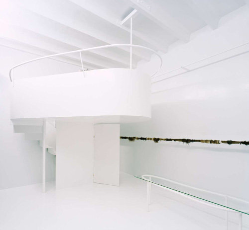 Ein Foto von Lukas Schaller