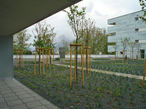 Ein Foto von Pia Sandner