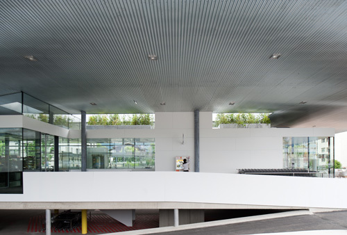 Ein Foto von Lukas Schaller