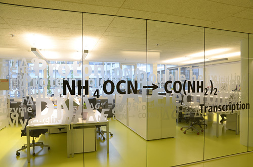 Ein Foto von Mathias Prachensky