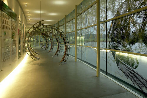 Ein Foto von Dieter Schewig