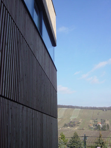 Ein Foto von Georg Marterer