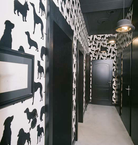 Ein Foto von Lea Titz