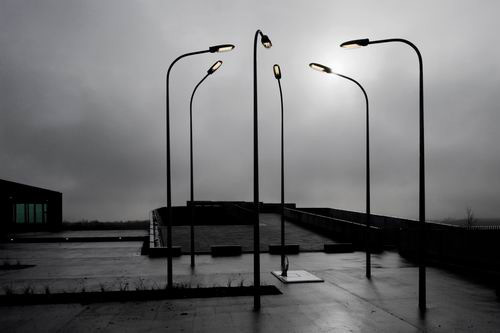 Ein Foto von Dietmar Tollerian