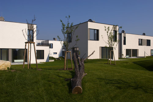 Ein Foto von Lisa Rastl