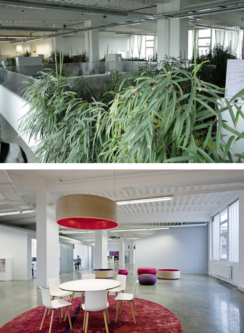 Ein Foto von Hertha Hurnaus