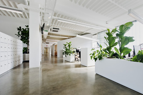 Ein Foto von Hertha Hurnaus