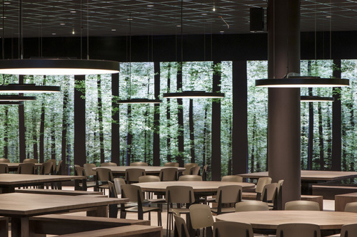 Ein Foto von Stefan Zenzmaier