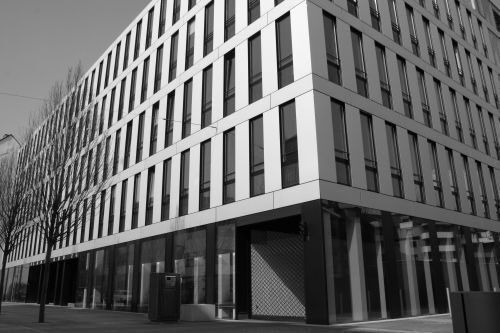 Ein Foto von Dave Bullock