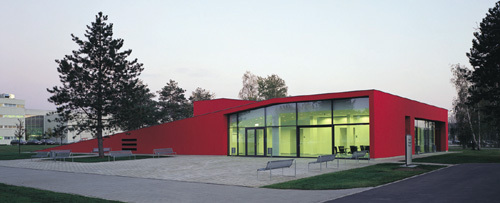 Ein Foto von Gábor Máté