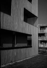 Ein Foto von Leopold Dungl