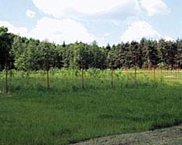 Ein Foto von Zulauf und Partner