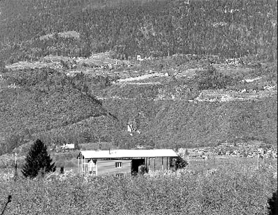 Ein Foto von Ludwig Thalheimer