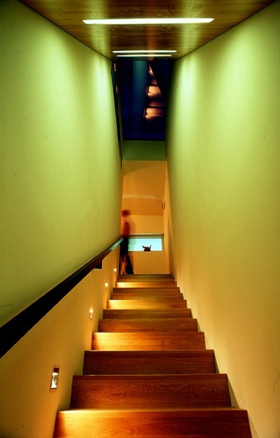 Ein Photo von Hertha Hurnaus