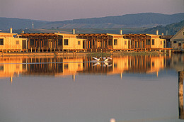 Ein Foto von Rupert Steiner