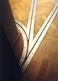 Ein Foto von Patricia Weisskirchner