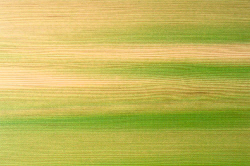 Ein Foto von Robert Fessler