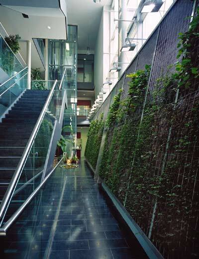 Ein Foto von Mischa Erben