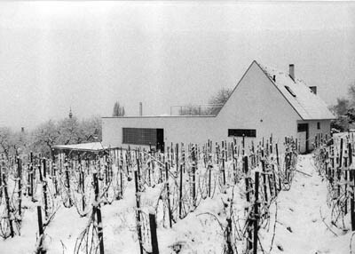 Ein Foto von Herbert Schwingenschlögl