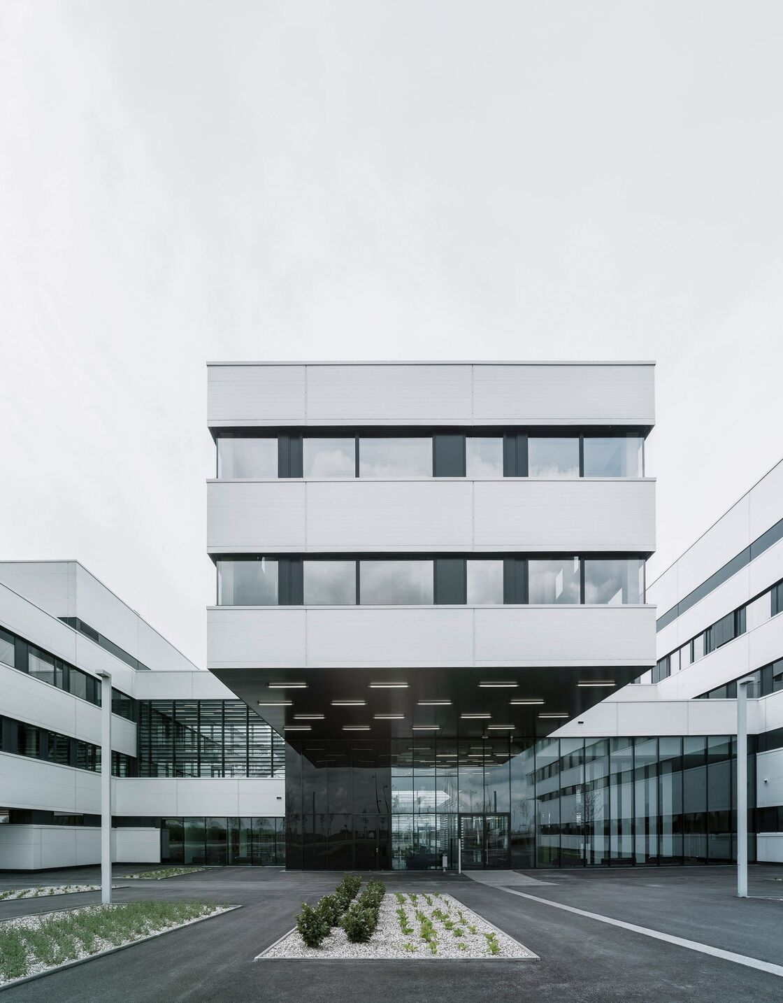 Ein Foto von Brigida Gonzalez