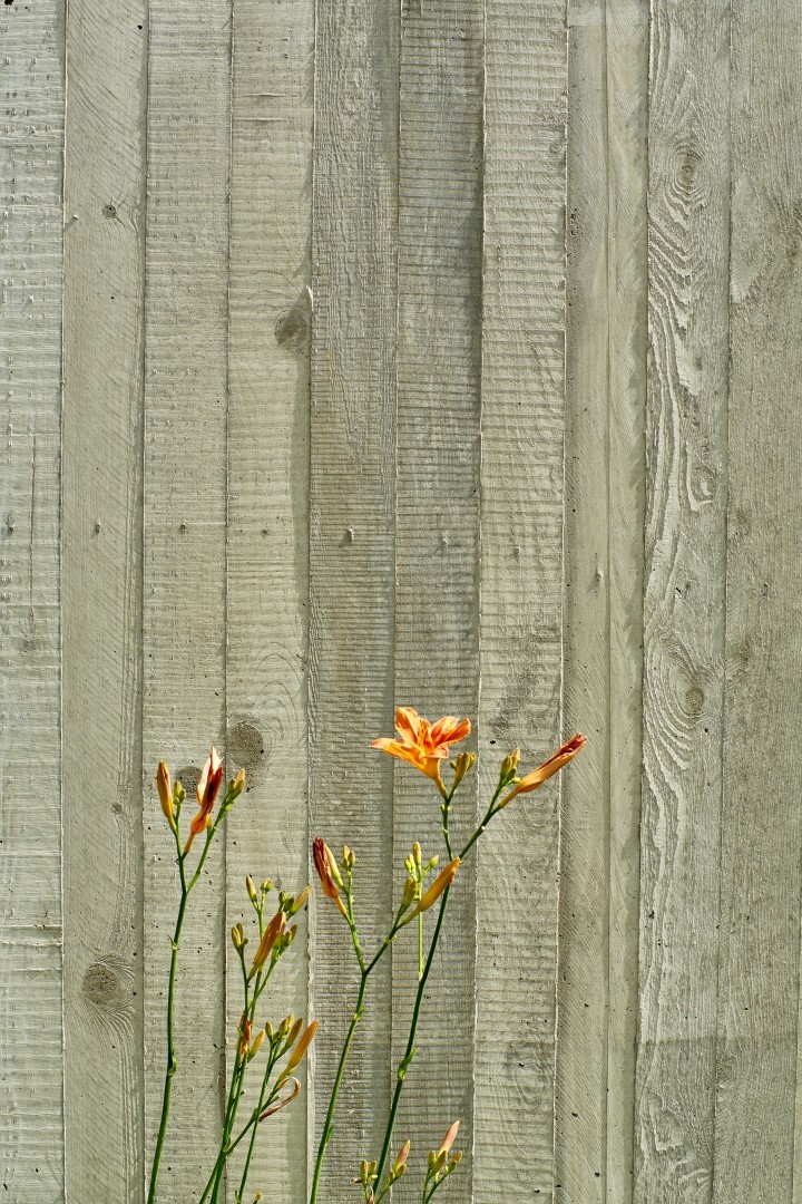 Ein Foto von Martin Schlager