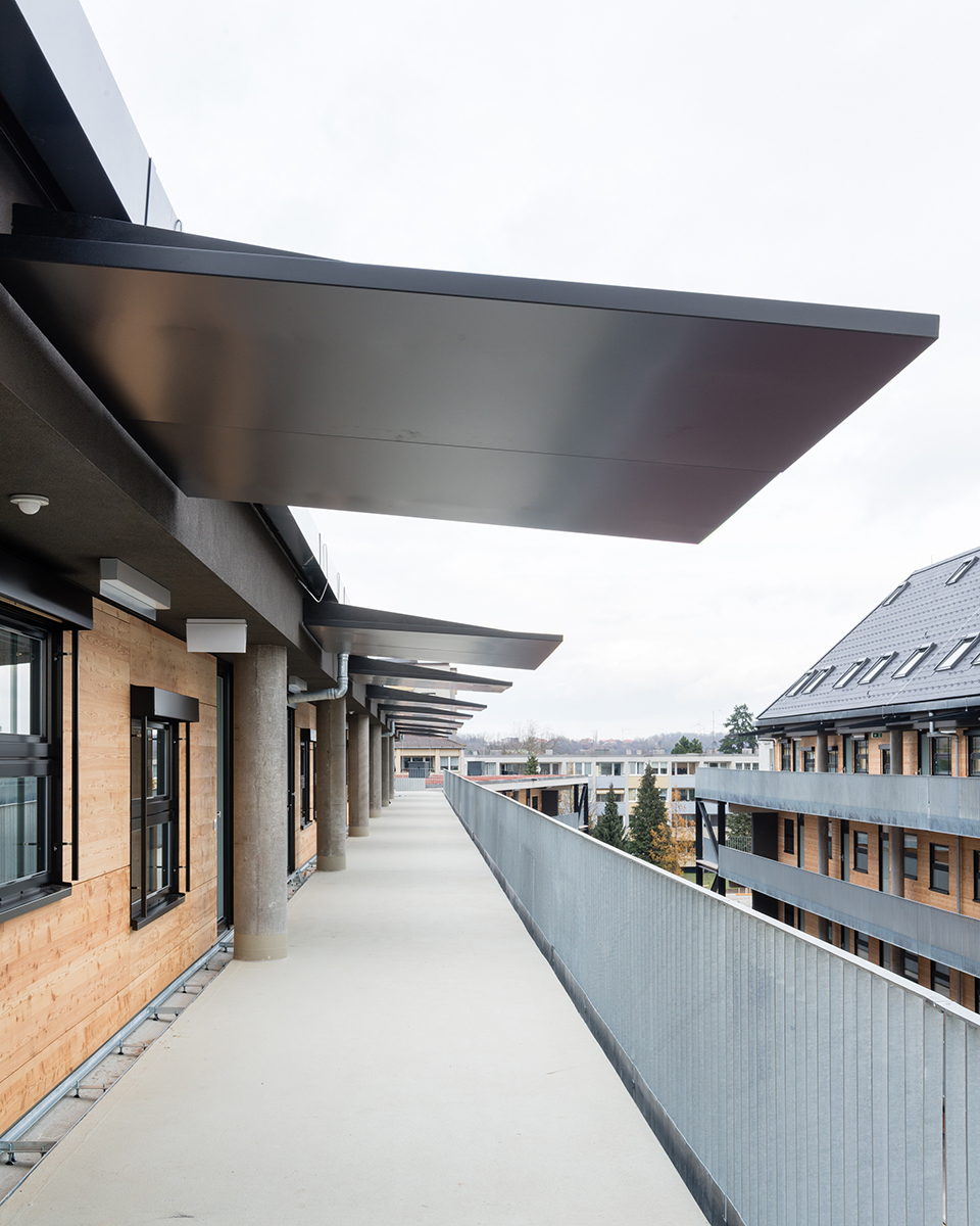 Ein Foto von Lukas Schaller