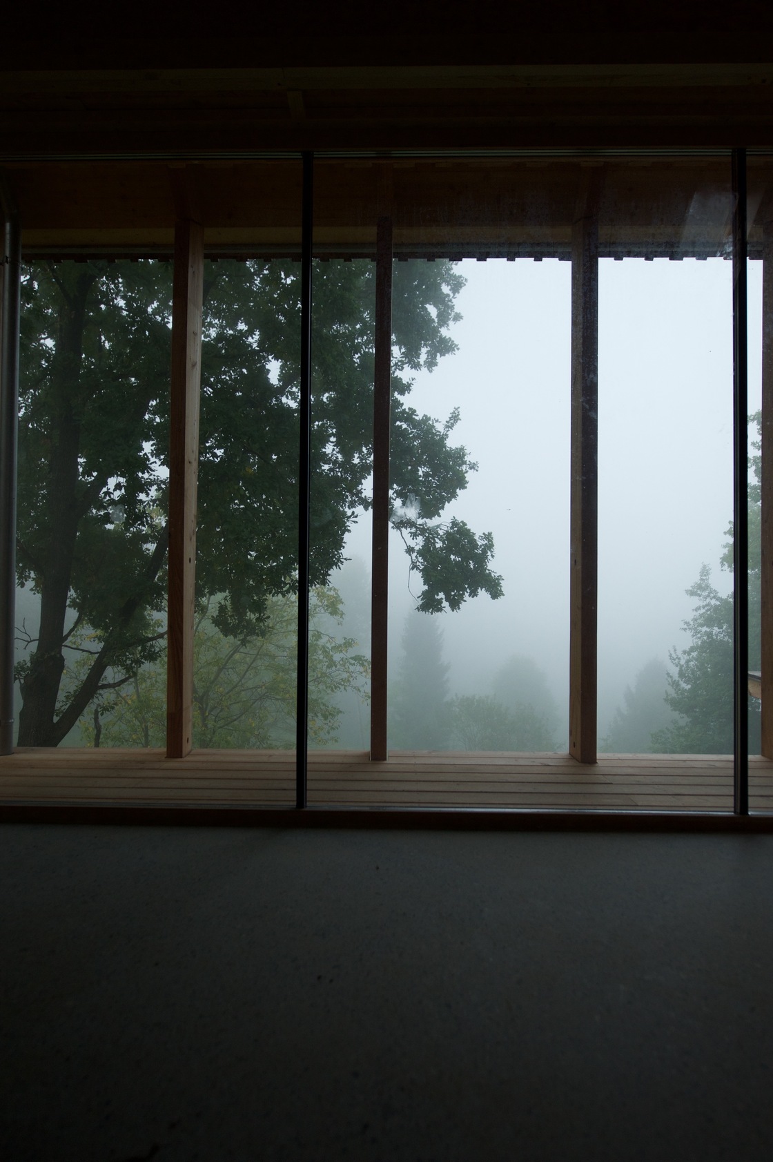 Ein Foto von Elias Grüner