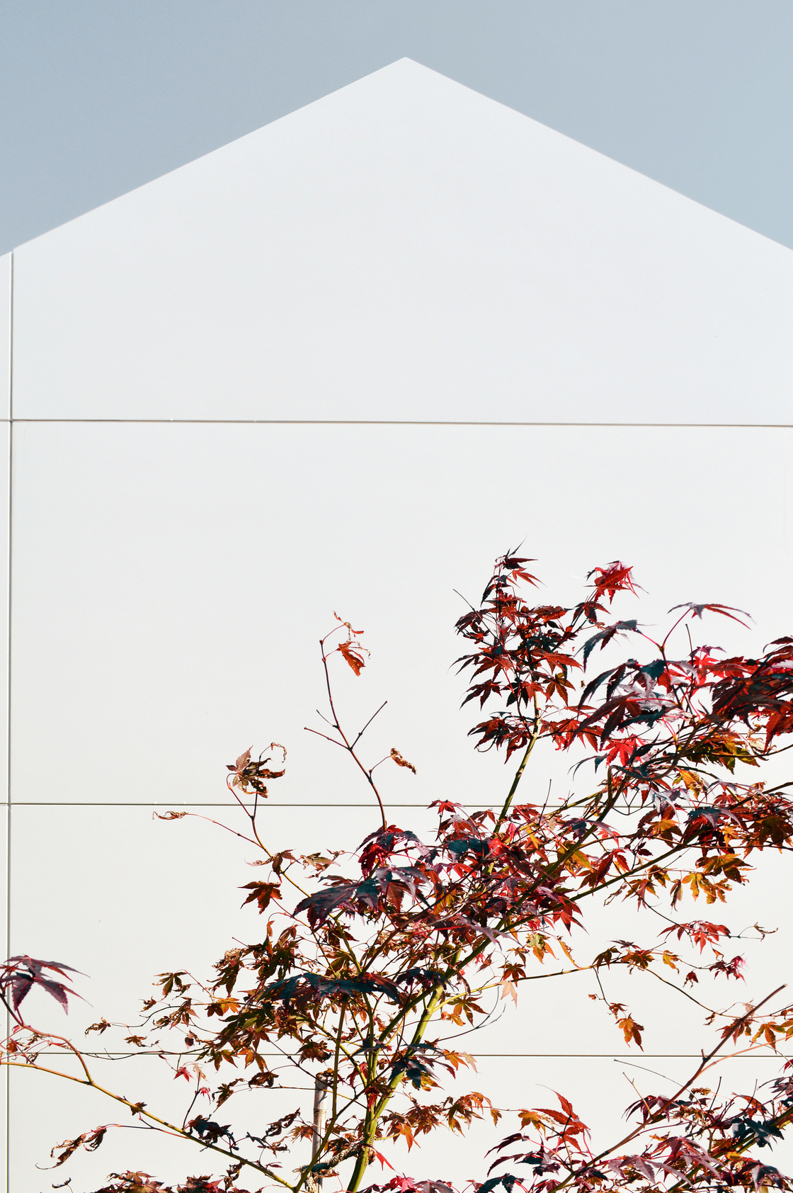 Ein Foto von KREINERarchitektur ZT GmbH