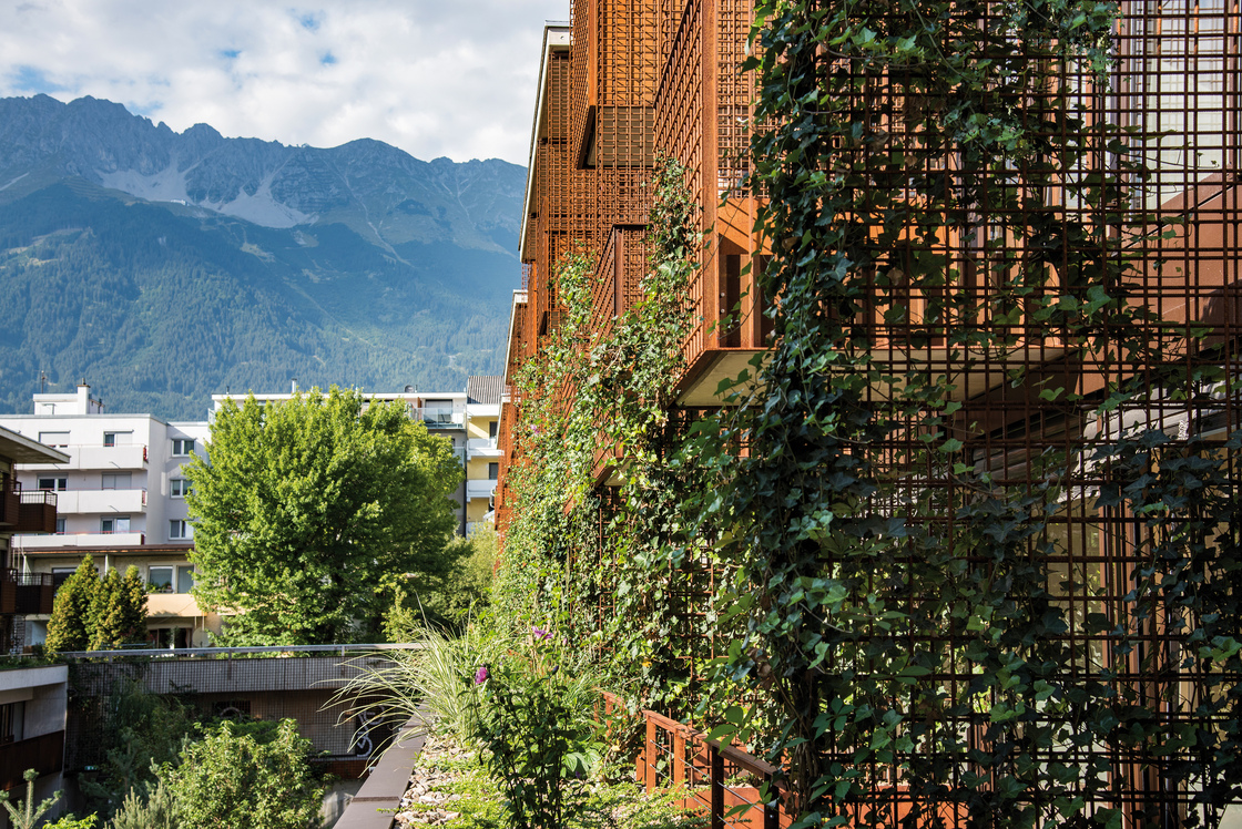 Ein Foto von Peter Prantner