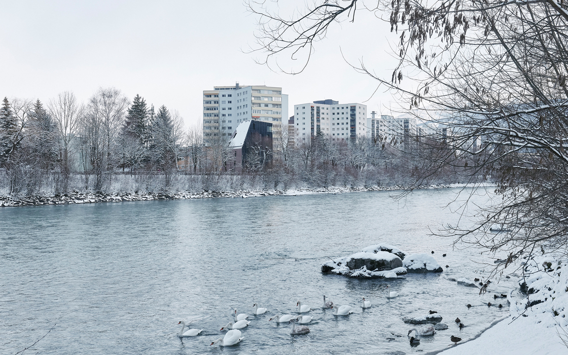 Ein Foto von David Schreyer