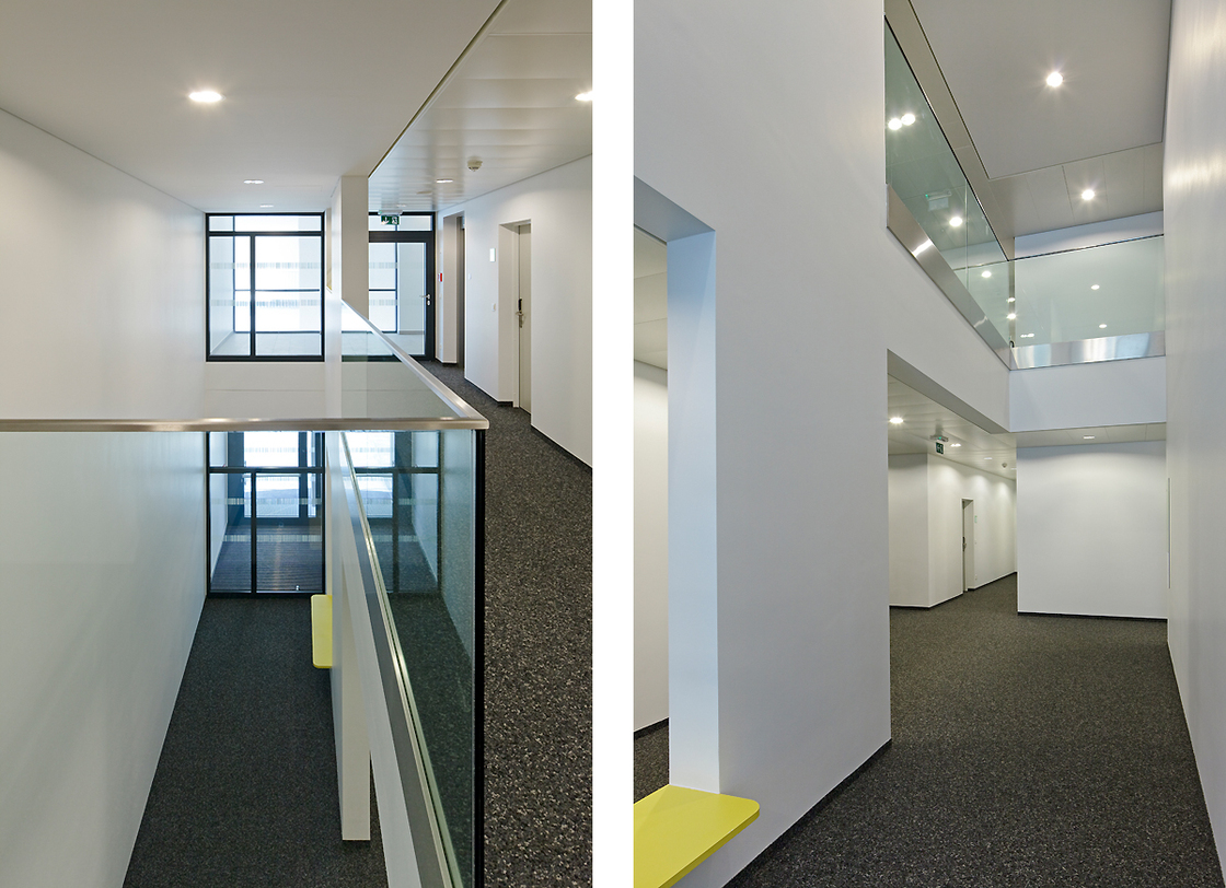 Ein Foto von Rupert Steiner