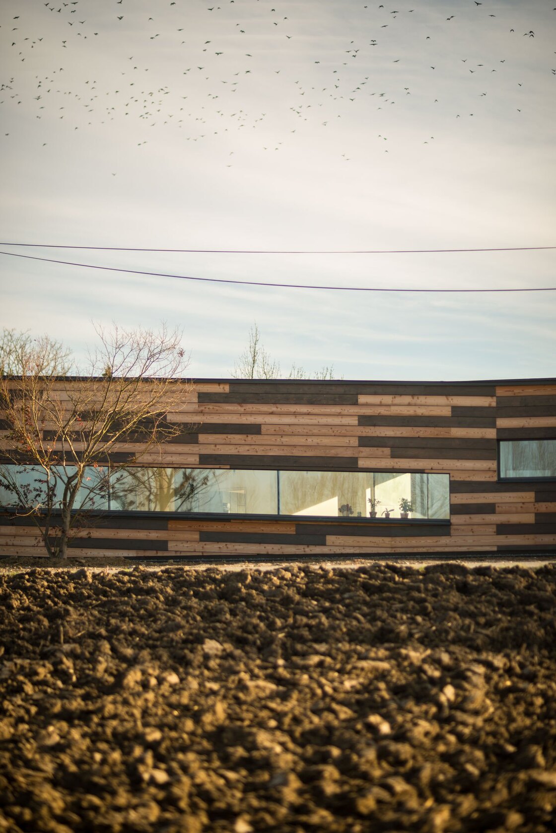 Ein Foto von Michael Nagl