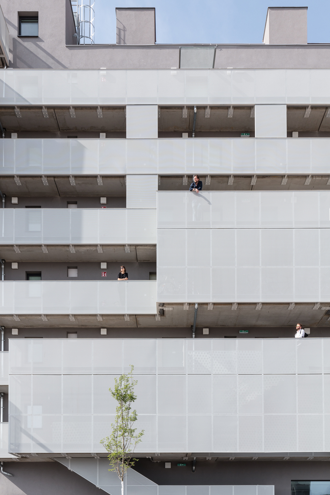 Ein Foto von tschinkersten