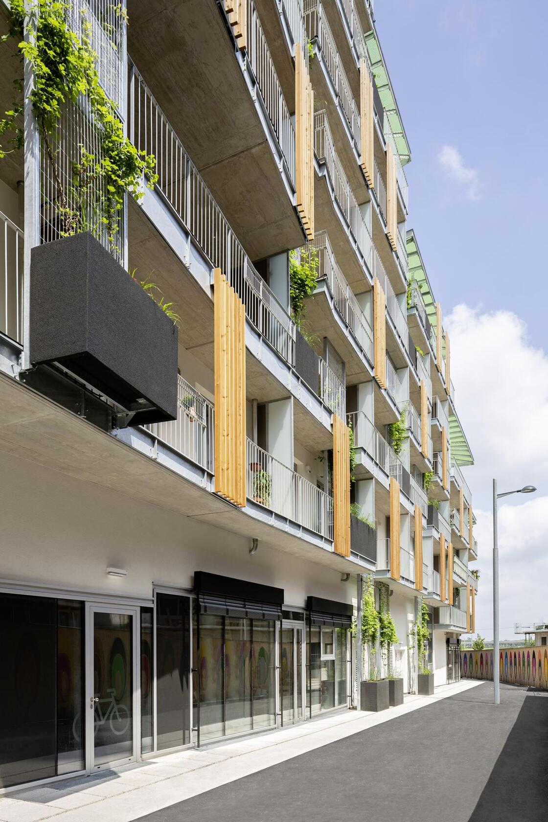 Ein Foto von Paul Sebesta