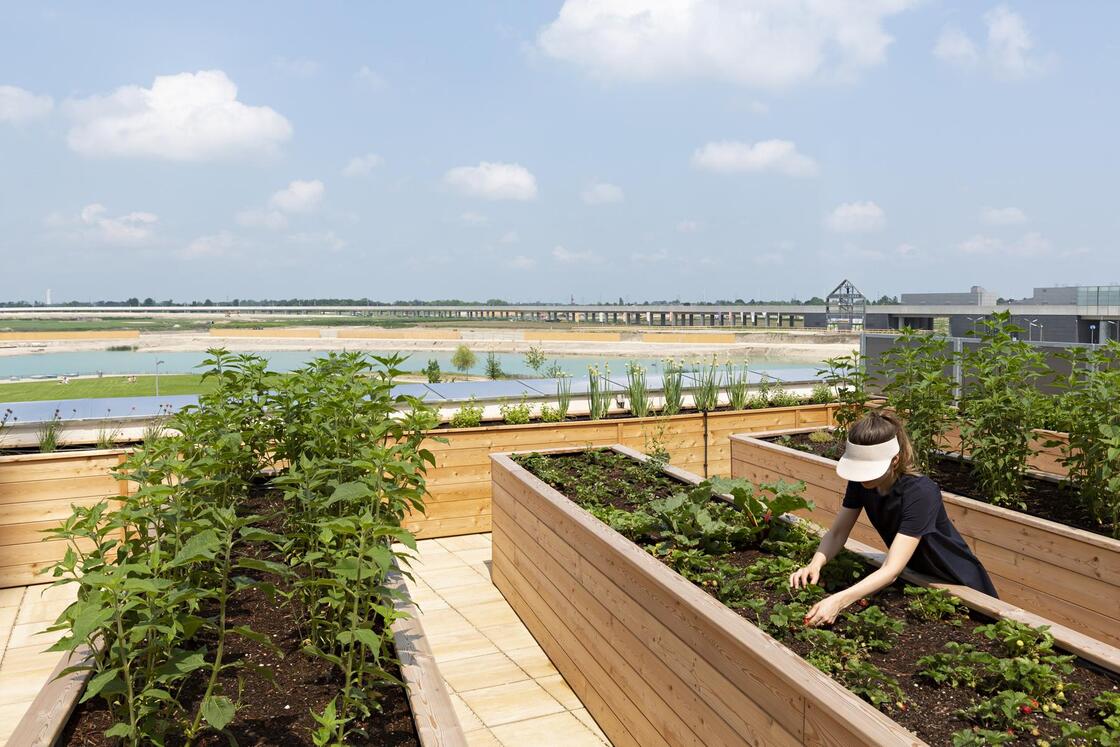 Ein Foto von Paul Sebesta