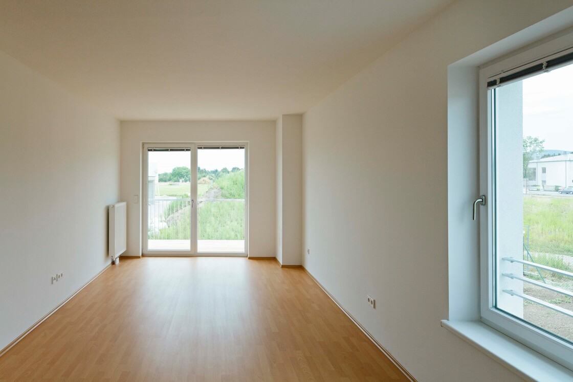 Ein Foto von Rupert Steiner