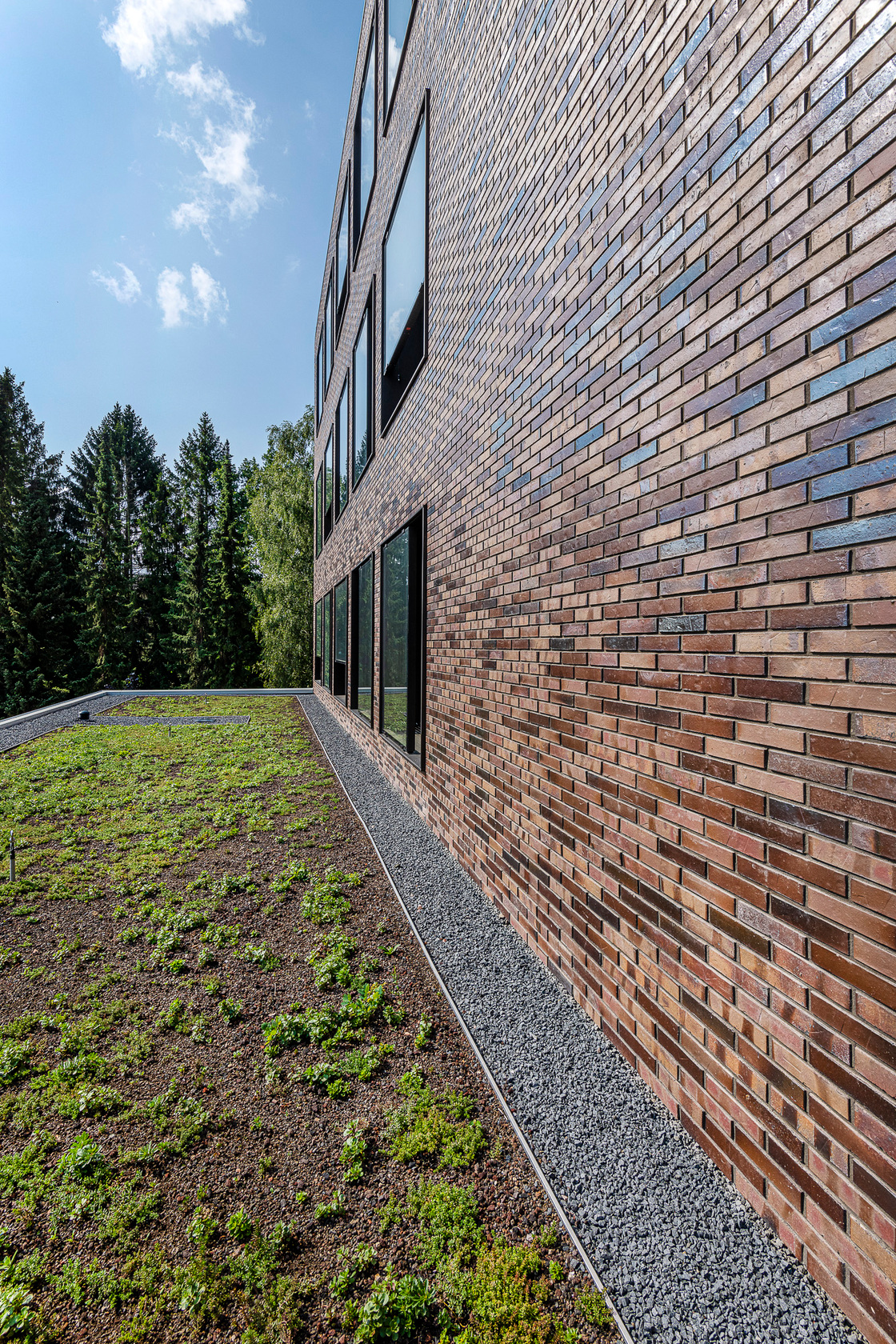 Ein Foto von Julia Knop