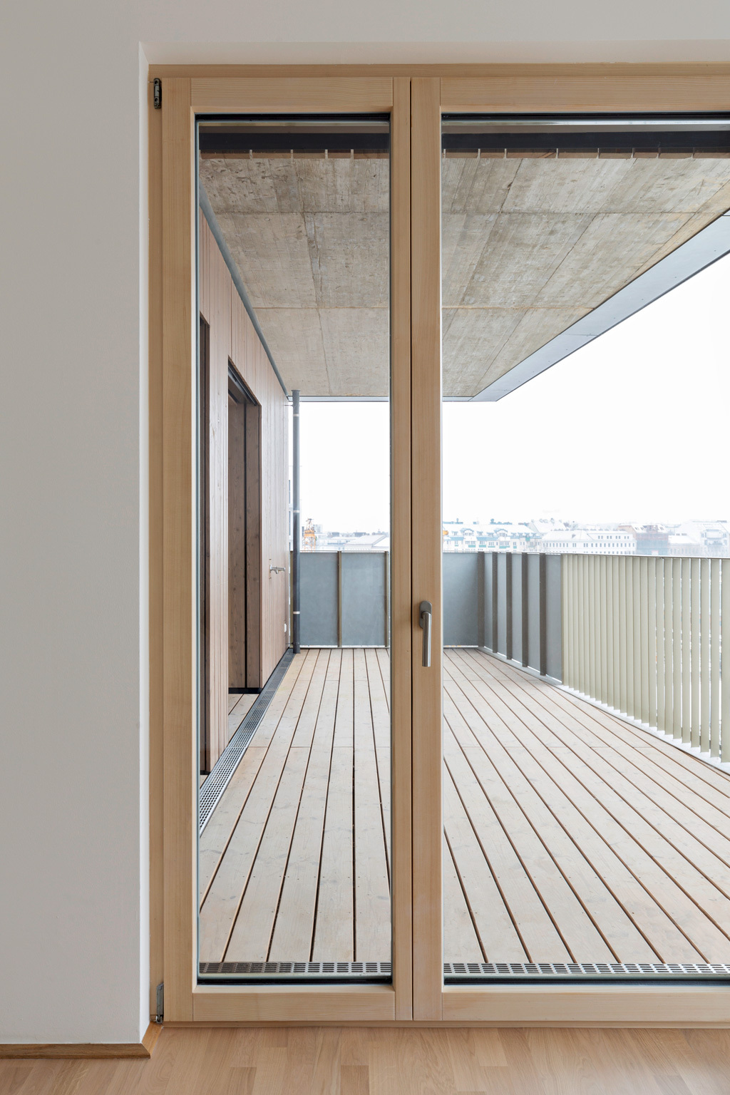 Ein Foto von Paul Sebesta